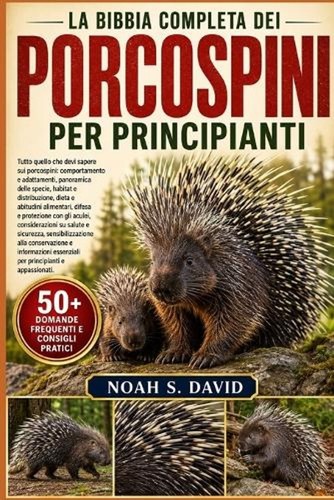 Bibbia completa dei - bibbia,